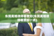 东莞离婚律师哪里好(东莞离婚律师哪里好一点)