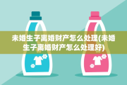 未婚生子离婚财产怎么处理(未婚生子离婚财产怎么处理好)