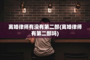 离婚律师有没有第二部(离婚律师有第二部吗)