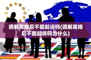 调解离婚后不能起诉吗(调解离婚后不能起诉吗为什么)