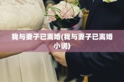 我与妻子已离婚(我与妻子已离婚小说)