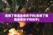 离婚了我能去看孩子吗(离婚了我能去看孩子吗知乎)