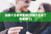 结婚十五老想离婚(结婚十五年了想离婚了)