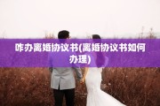 咋办离婚协议书(离婚协议书如何办理)