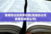 离婚协议抚养费巨额(离婚协议抚养费巨额怎么写)