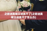 之前说离婚又说离不了(之前说离婚又说离不了怎么办)