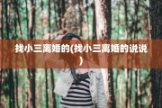 找小三离婚的(找小三离婚的说说)