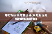 单方起诉离婚的流程(单方起诉离婚的流程和费用)