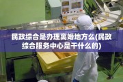 民政综合是办理离婚地方么(民政综合服务中心是干什么的)