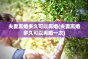 夫妻离婚多久可以再婚(夫妻离婚多久可以再婚一次)