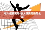收入低要离婚(收入低要离婚怎么办)