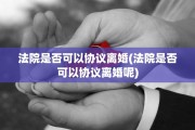 法院是否可以协议离婚(法院是否可以协议离婚呢)