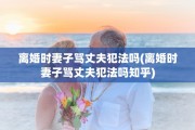 离婚时妻子骂丈夫犯法吗(离婚时妻子骂丈夫犯法吗知乎)