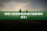 家暴只能离婚吗(家暴只能离婚吗知乎)