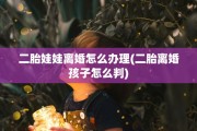 二胎娃娃离婚怎么办理(二胎离婚孩子怎么判)