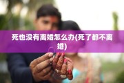 死也没有离婚怎么办(死了都不离婚)