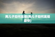 两儿子如何离婚(两儿子如何离婚最快)