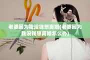 老婆因为我没钱想离婚(老婆因为我没钱想离婚怎么办)