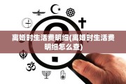 离婚时生活费明细(离婚时生活费明细怎么查)