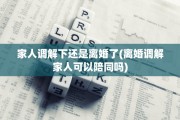 家人调解下还是离婚了(离婚调解家人可以陪同吗)