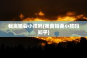 我离婚要小孩吗(我离婚要小孩吗知乎)