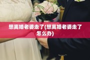 想离婚老婆走了(想离婚老婆走了怎么办)