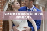 丈夫打妻子离婚吗(丈夫打妻子离婚吗判几年)
