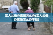 军人父母办离婚怎么办(军人父母办离婚怎么办手续)