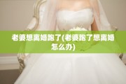 老婆想离婚跑了(老婆跑了想离婚怎么办)