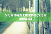 父母离婚我走上犯法的路(父母离婚犯法吗)