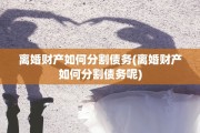 离婚财产如何分割债务(离婚财产如何分割债务呢)