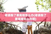 老婆跑了要离婚怎么办(老婆跑了要离婚怎么办呢)