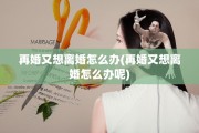 再婚又想离婚怎么办(再婚又想离婚怎么办呢)