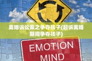 离婚诉讼案之争夺孩子(起诉离婚期间争夺孩子)