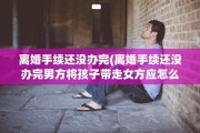 离婚手续还没办完(离婚手续还没办完男方将孩子带走女方应怎么办)