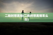 二胎时想离婚(二胎时想离婚怎么办)