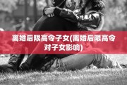 离婚后限高令子女(离婚后限高令对子女影响)