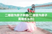 二婚因为房子离婚(二婚因为房子离婚怎么办)
