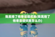 我离婚了他老是骚扰我(我离婚了他老是骚扰我怎么办)