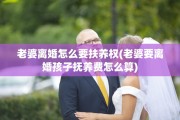 老婆离婚怎么要扶养权(老婆要离婚孩子抚养费怎么算)