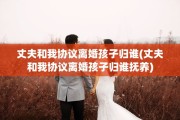 丈夫和我协议离婚孩子归谁(丈夫和我协议离婚孩子归谁抚养)