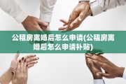 公租房离婚后怎么申请(公租房离婚后怎么申请补贴)