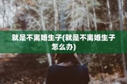 就是不离婚生子(就是不离婚生子怎么办)