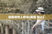 闹离婚把人砍伤(离婚 砍人)