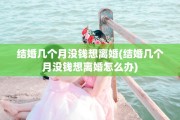 结婚几个月没钱想离婚(结婚几个月没钱想离婚怎么办)