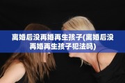 离婚后没再婚再生孩子(离婚后没再婚再生孩子犯法吗)