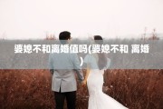 婆媳不和离婚值吗(婆媳不和 离婚)