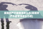 离婚财产不能查清怎么办(离婚财产不能查清怎么办呢)