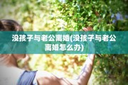 没孩子与老公离婚(没孩子与老公离婚怎么办)