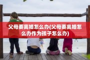 父母要离婚怎么办(父母要离婚怎么办作为孩子怎么办)
